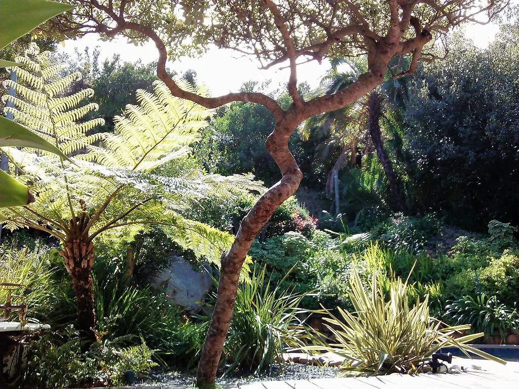 Hout Bay Hideaway Hotel South Africa