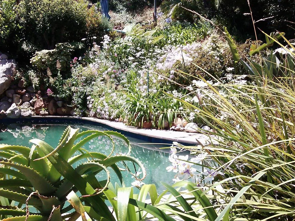 Hout Bay Hideaway Hotel Guest house Hout Bay